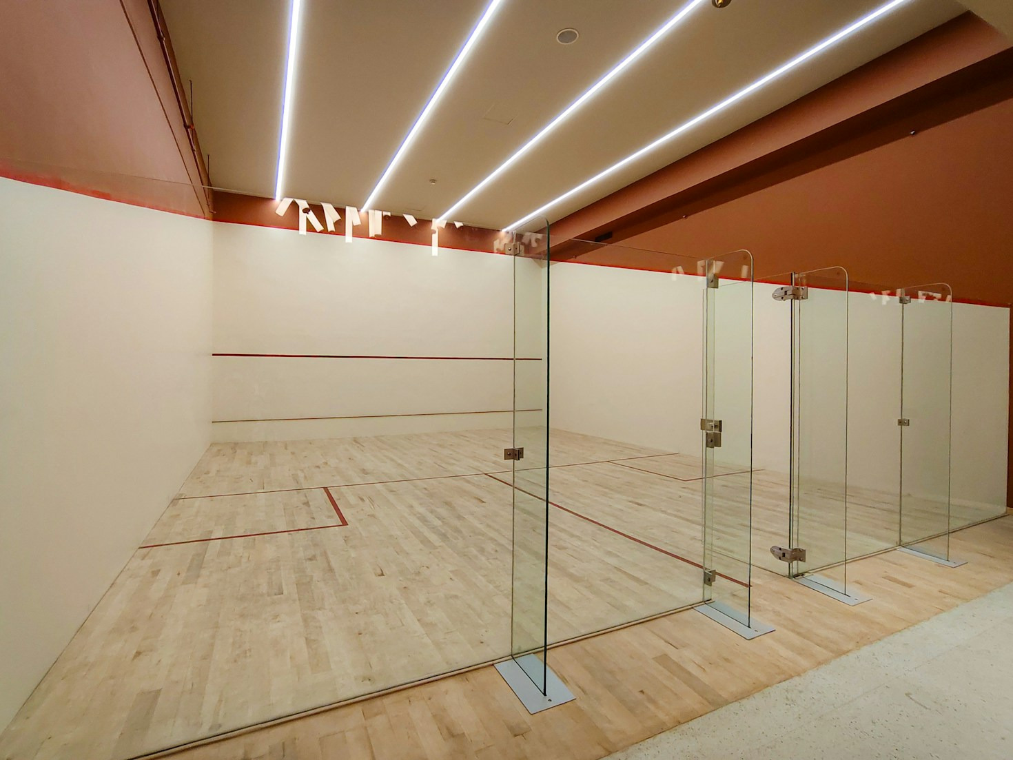 The Journey Back to Squash Supremacy with MSF